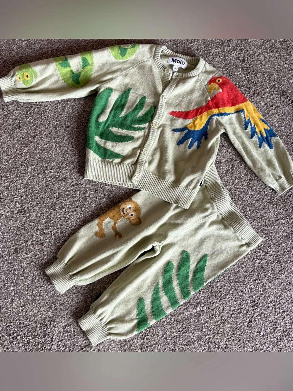 Molo Light Green Parrot & Jungle Knit Joggers Set